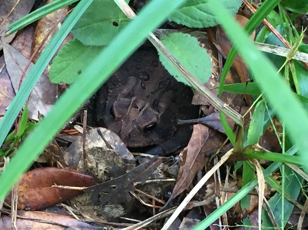 Savannah-Ogeechee Canal Museum and Nature Center-萨凡纳必去景点