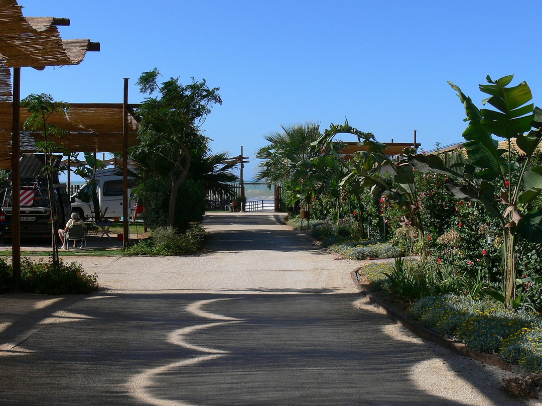 Scarabeo Camping