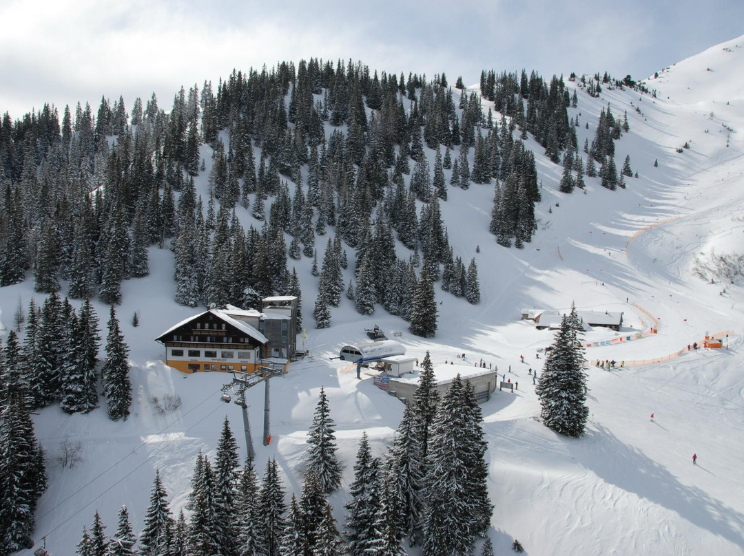 Berghof Riesneralm
