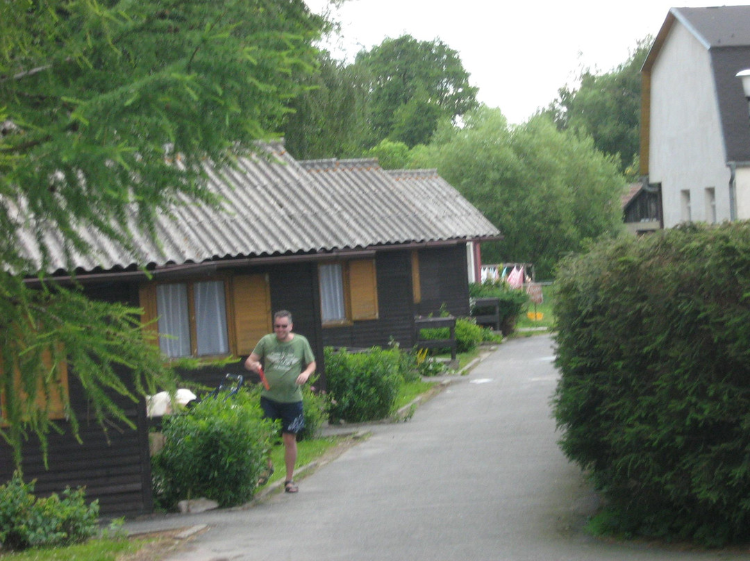 Camping Borova
