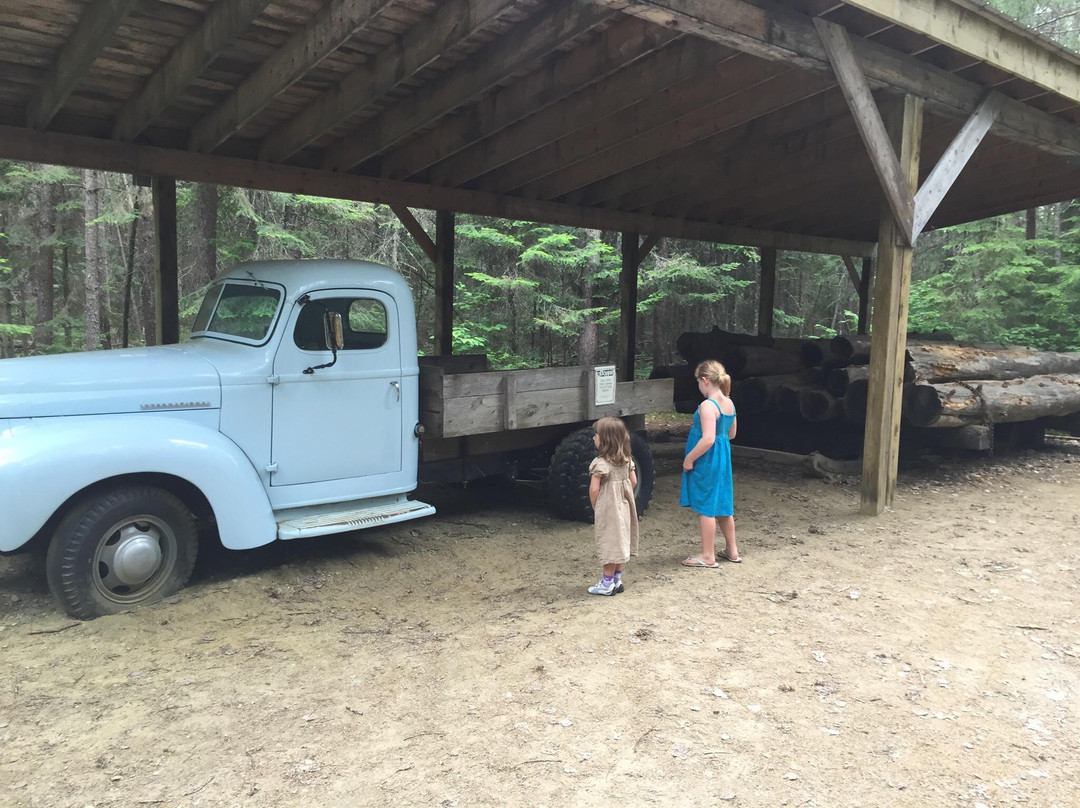 Algonquin Logging Museum Trail景点图片