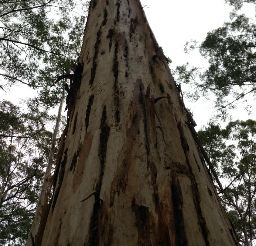Gloucester National Park-彭伯顿必去景点