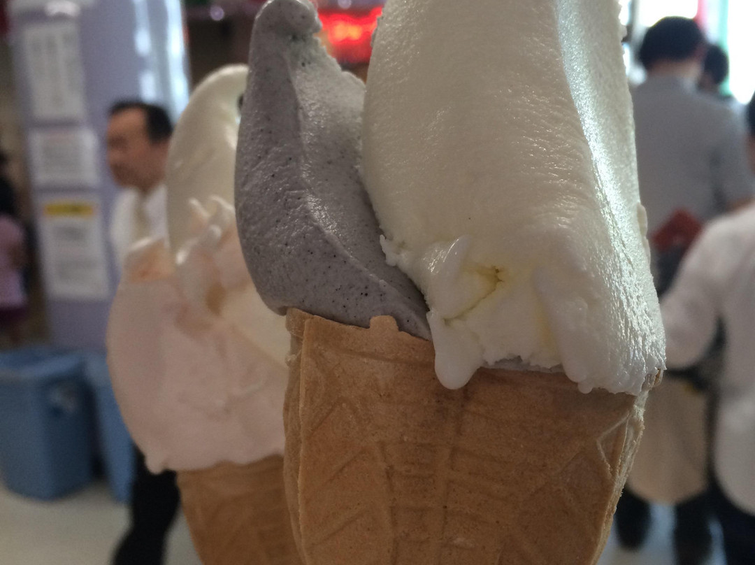 Michi-no-Eki Sagae Cherry Land-寒河江市必去景点