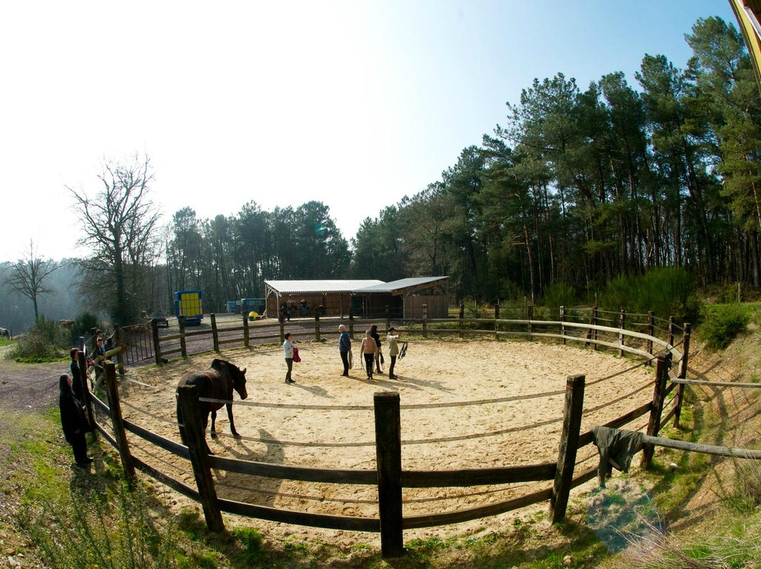 Cheval Broceliande-Trehorenteuc必去景点