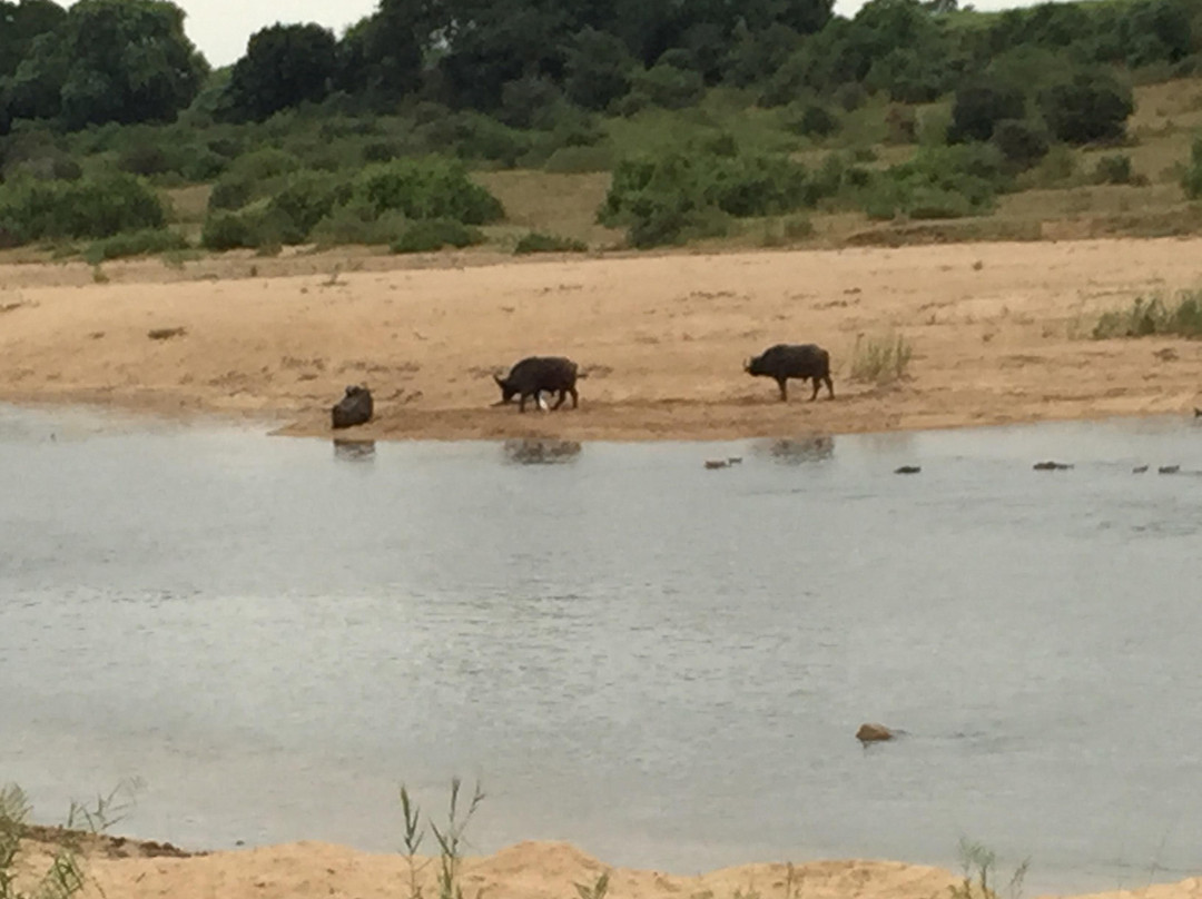 Go Safari景点图片