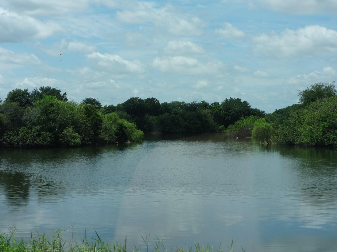 Saddle Creek Park-莱克兰必去景点