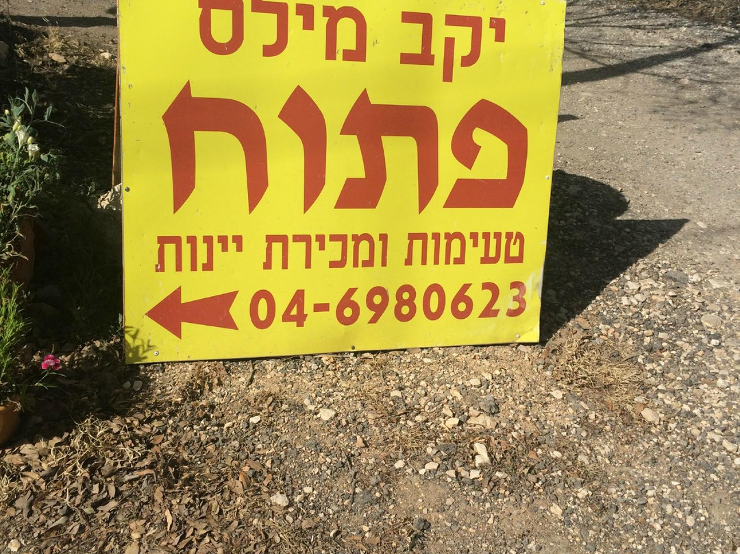 Miles Winery-Kerem Ben Zimra必去景点