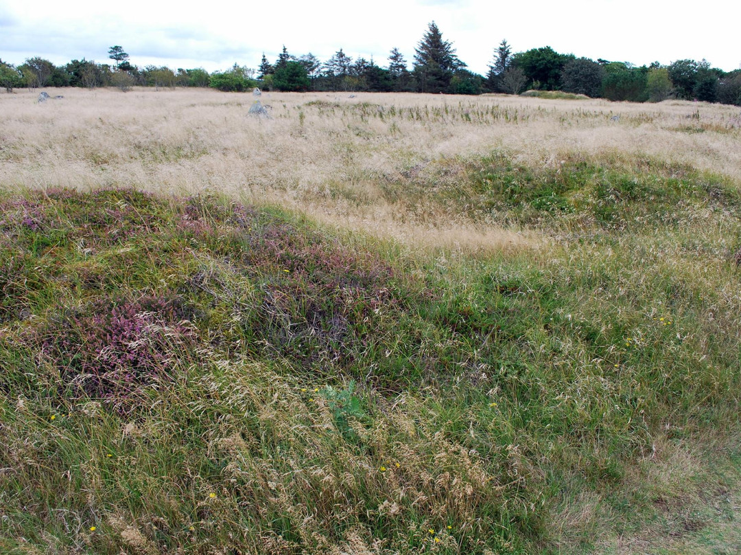 Tømmerby Vikingegravplads景点图片