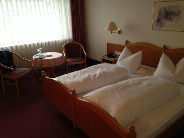 Hotel zum Lowen-客卧
