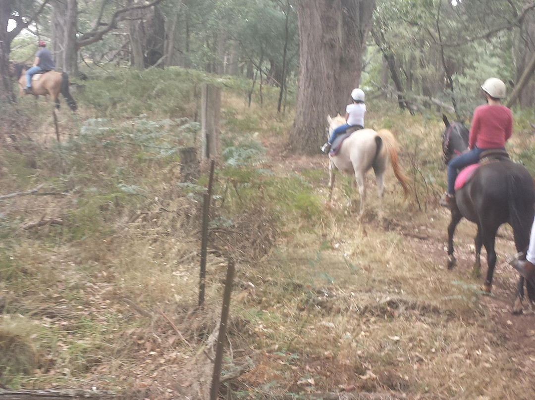 Hepburn Lagoon - Trail Rides-Hepburn Springs必去景点