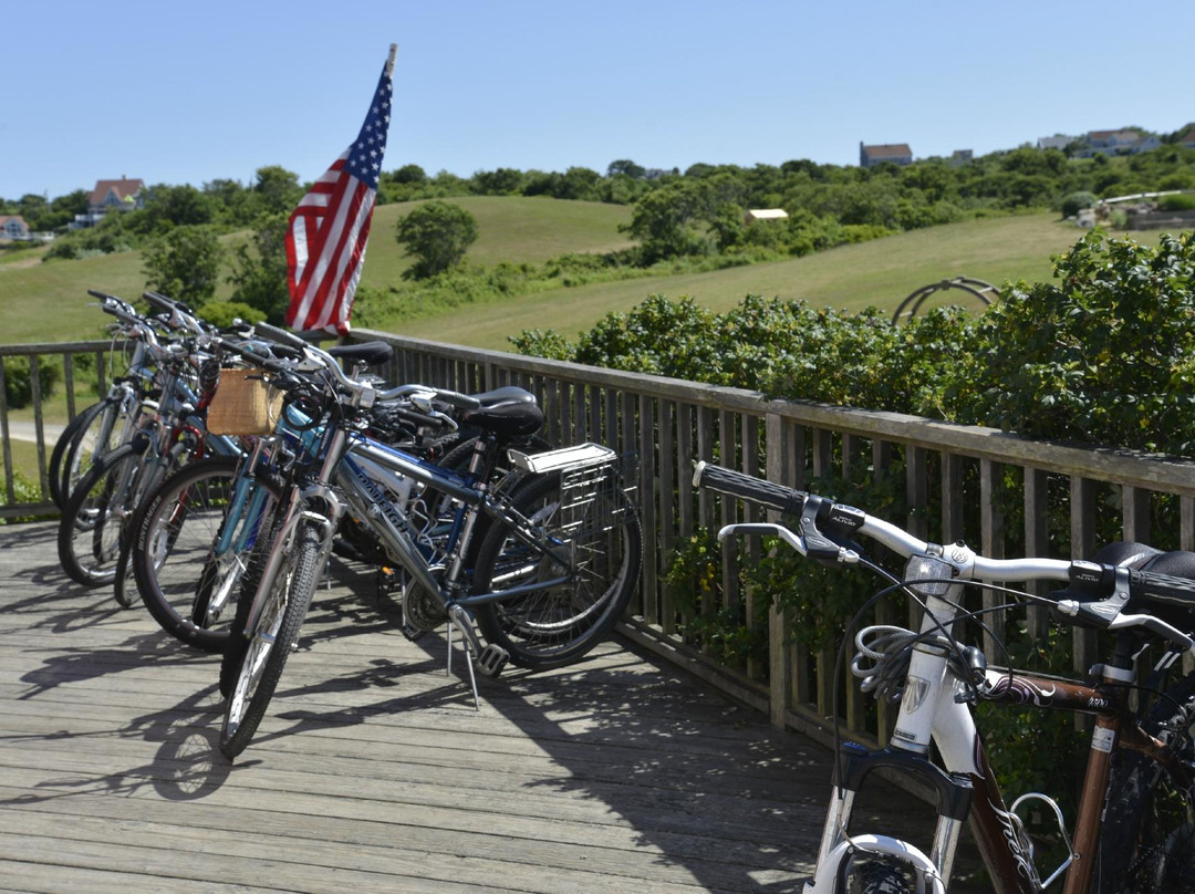 Beach Rose Bicycles-新肖勒姆必去景点