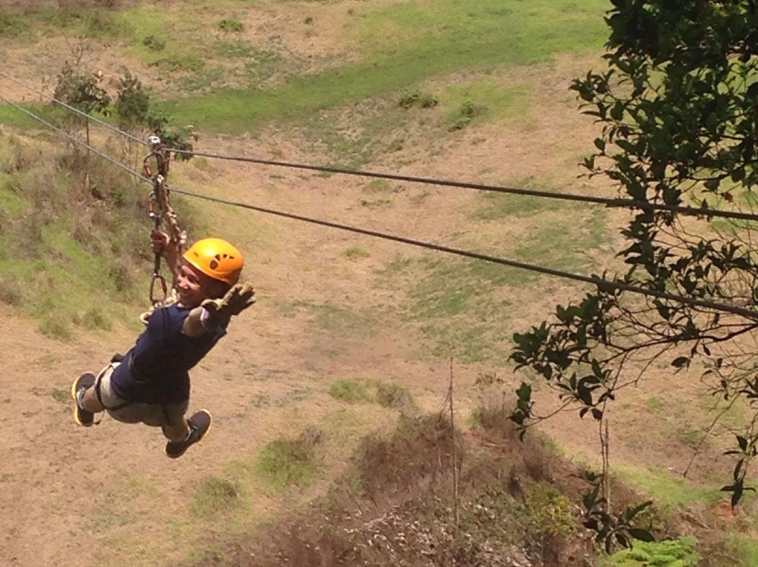 Tropical Adventures-多拉多必去景点