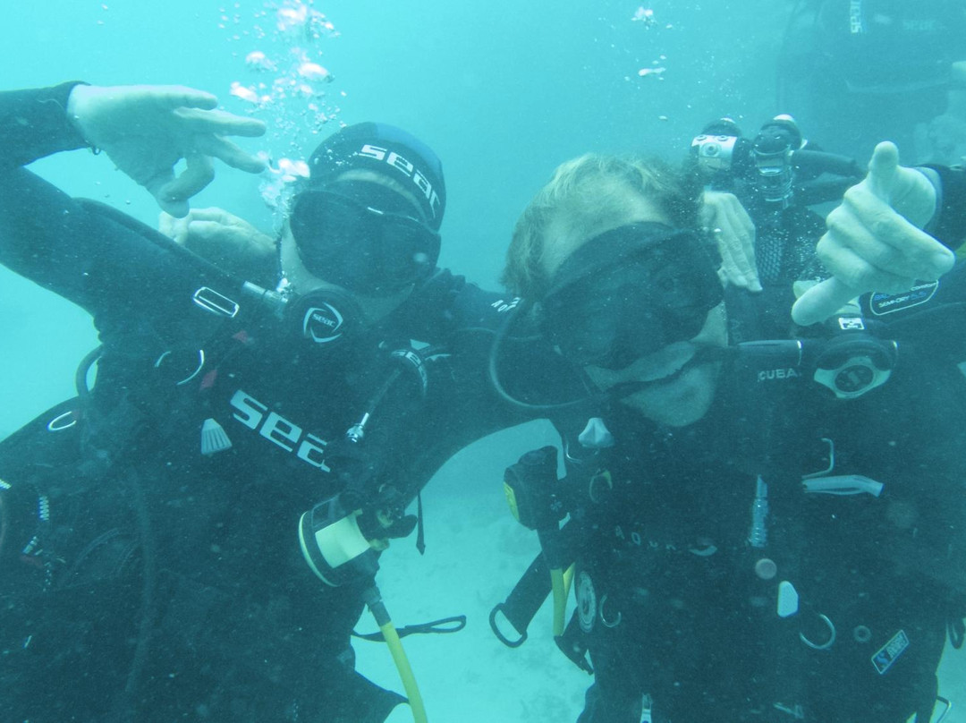 Nautilus Plongee-Mamoudzou必去景点