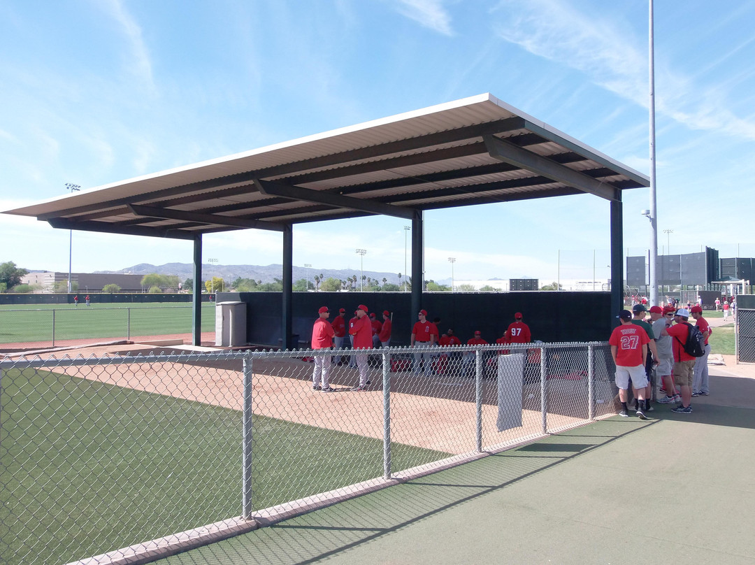 Arizona Cactus League-梅萨必去景点