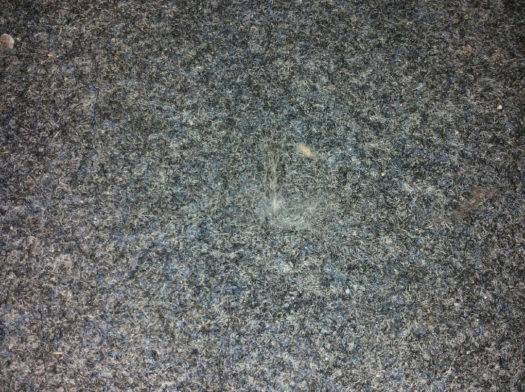 Hotel Gasthof Alter Wirt主图