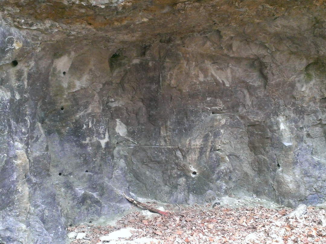 Rockwoods Reservation景点图片