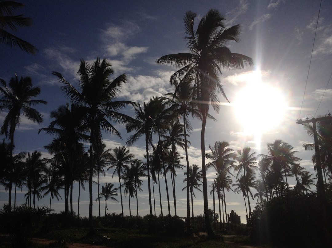 Atalaia Beach-Canavieiras必去景点