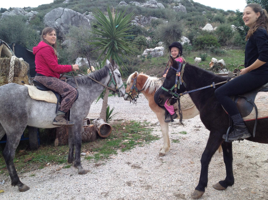 Kirca Travel- Patara Horseriding景点图片