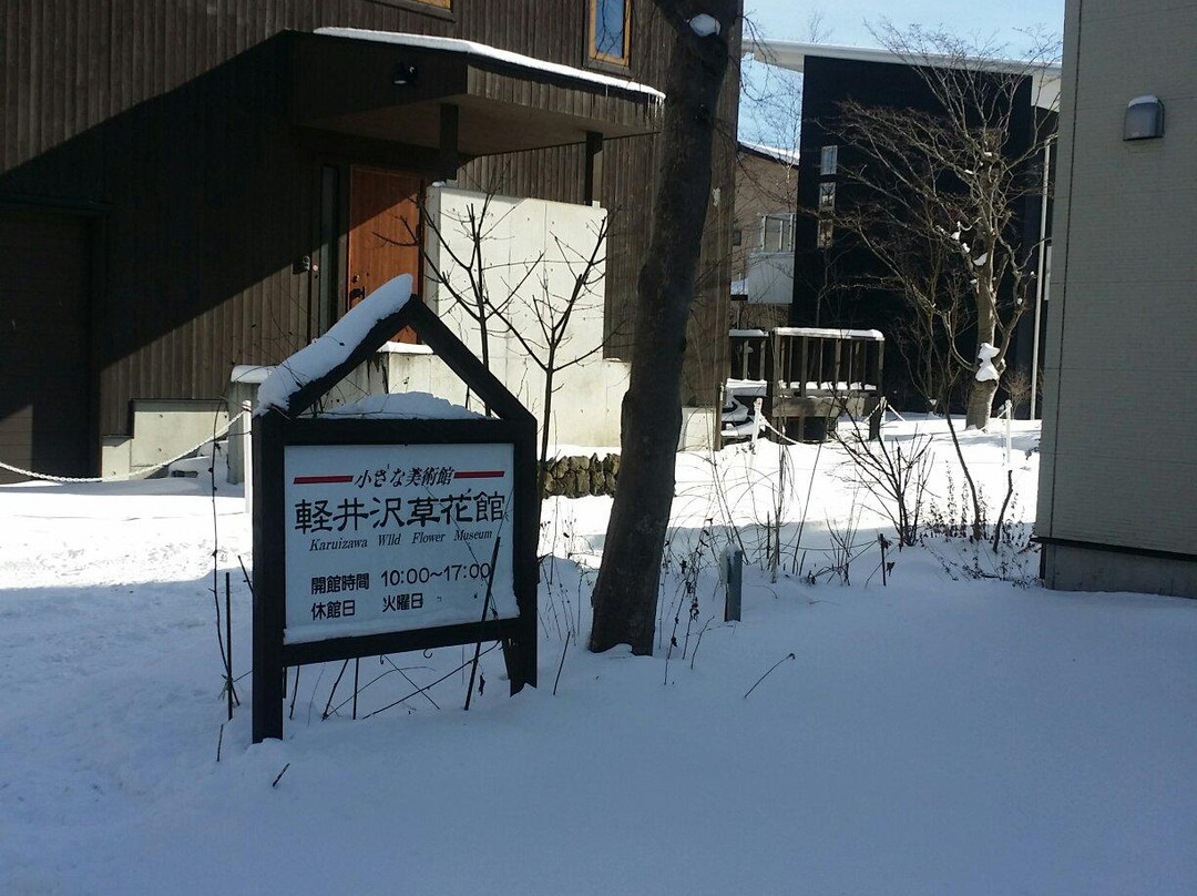 Little Museum Karuizawa Flower Center-轻井泽町必去景点