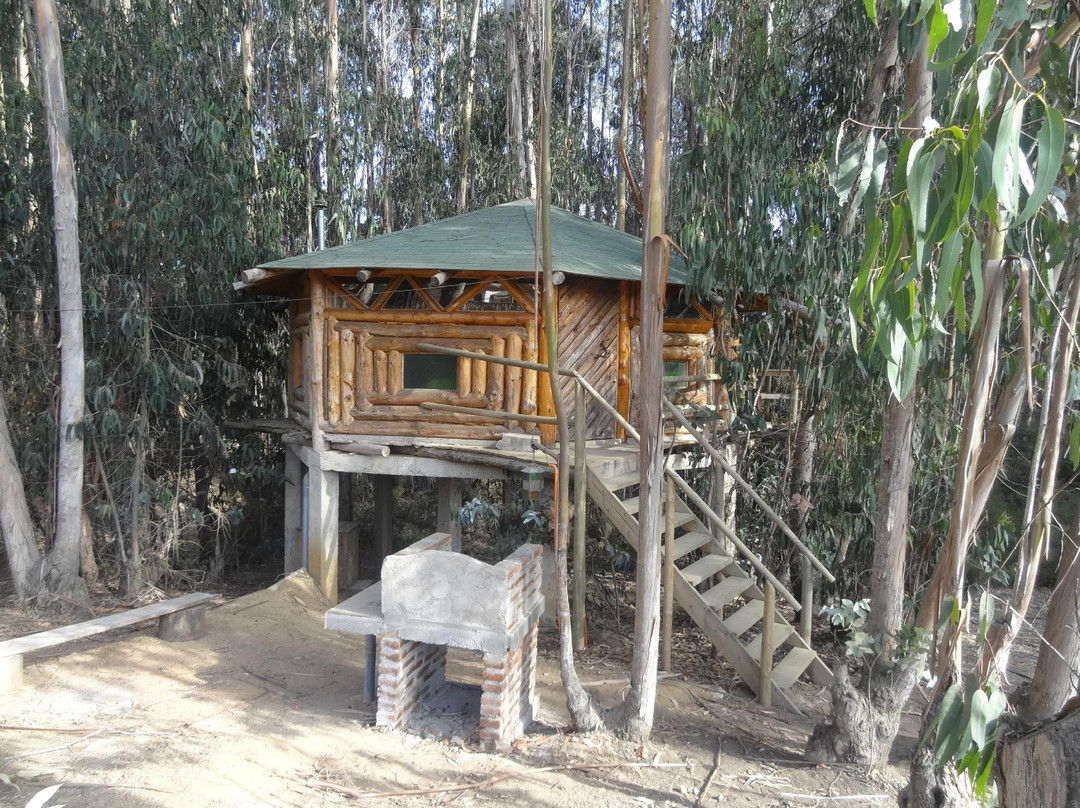 Cabanas Curi-Huapi