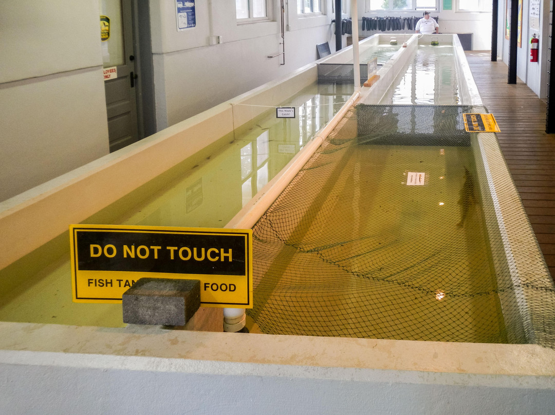 Aquatic Resource Center-Put in Bay必去景点