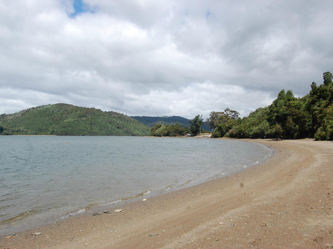 Isla Mancera-瓦尔迪维亚必去景点