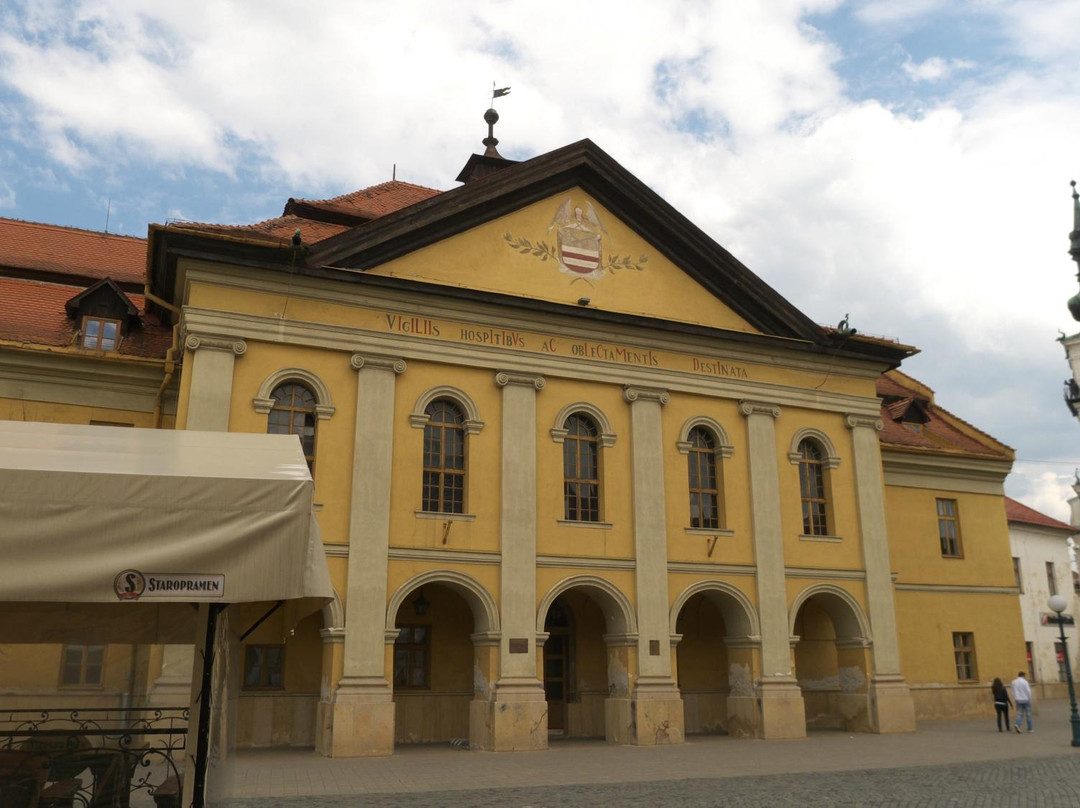 Kezmarok Town Hall-Kezmarok必去景点