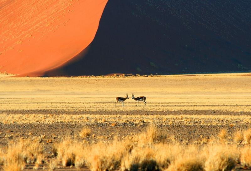 Wild Wind Safaris-温德和克必去景点
