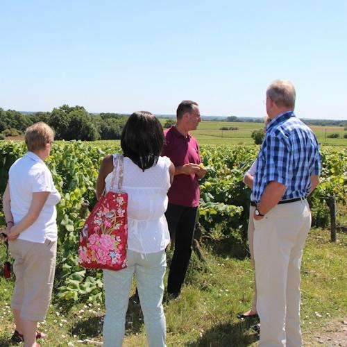 Nantes Wine Tour景点图片