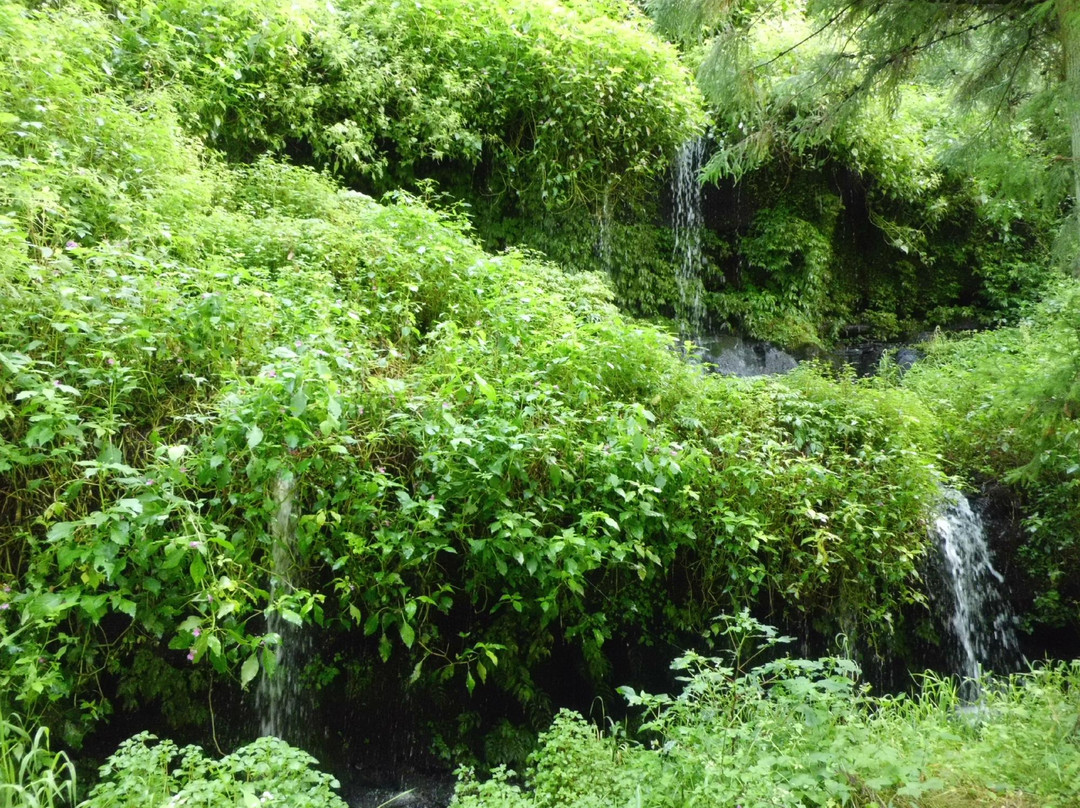 Taro - Jiro Falls景点图片