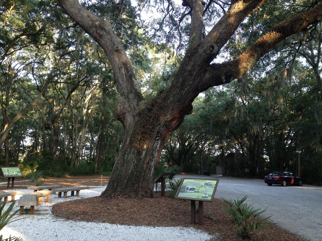 Historic Mitchelville Freedom Park-希尔顿头岛必去景点