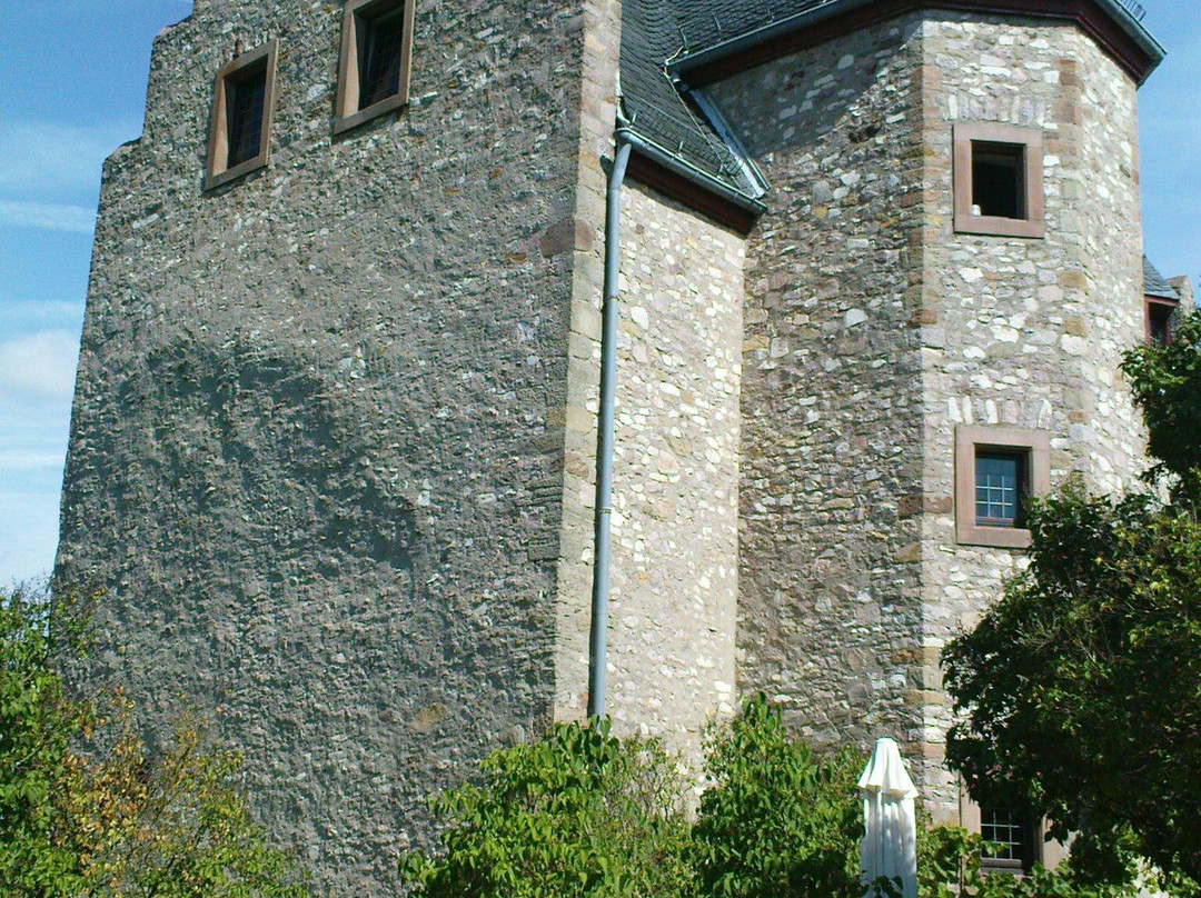Feilbingert旅游攻略图片