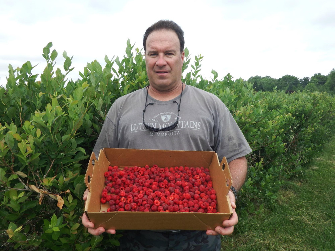 Blue Vista Farm-Bayfield必去景点