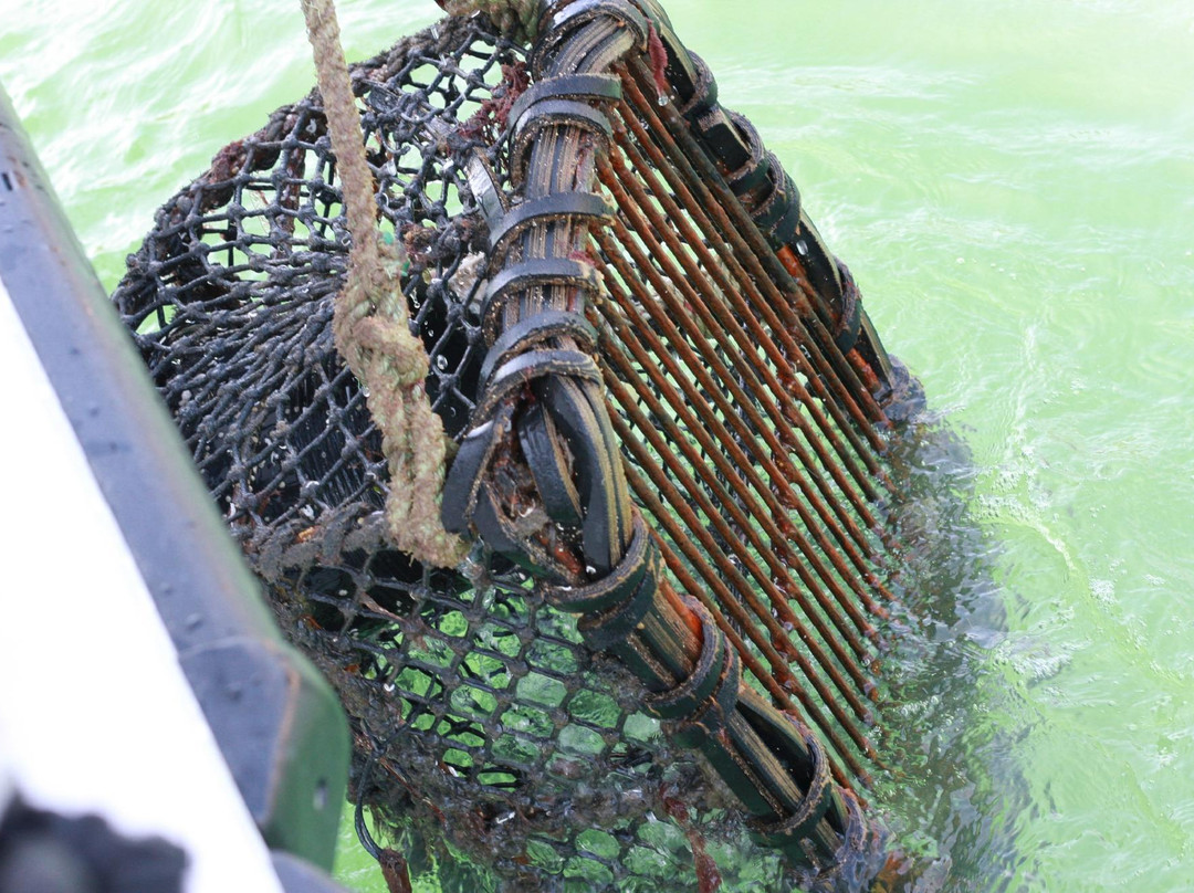 OceanBlue Quay-文特诺必去景点