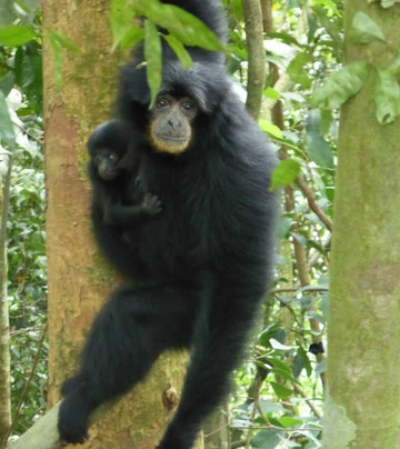 Bedudal Advenculture Tours-武吉丁宜必去景点