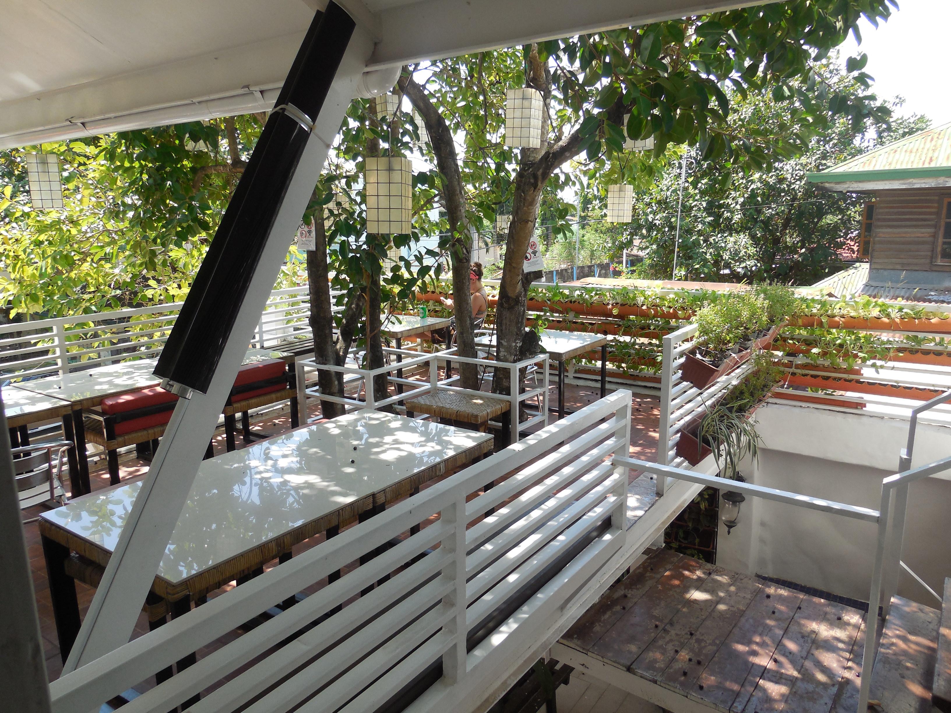 Orange Mangrove Pension House-客卧