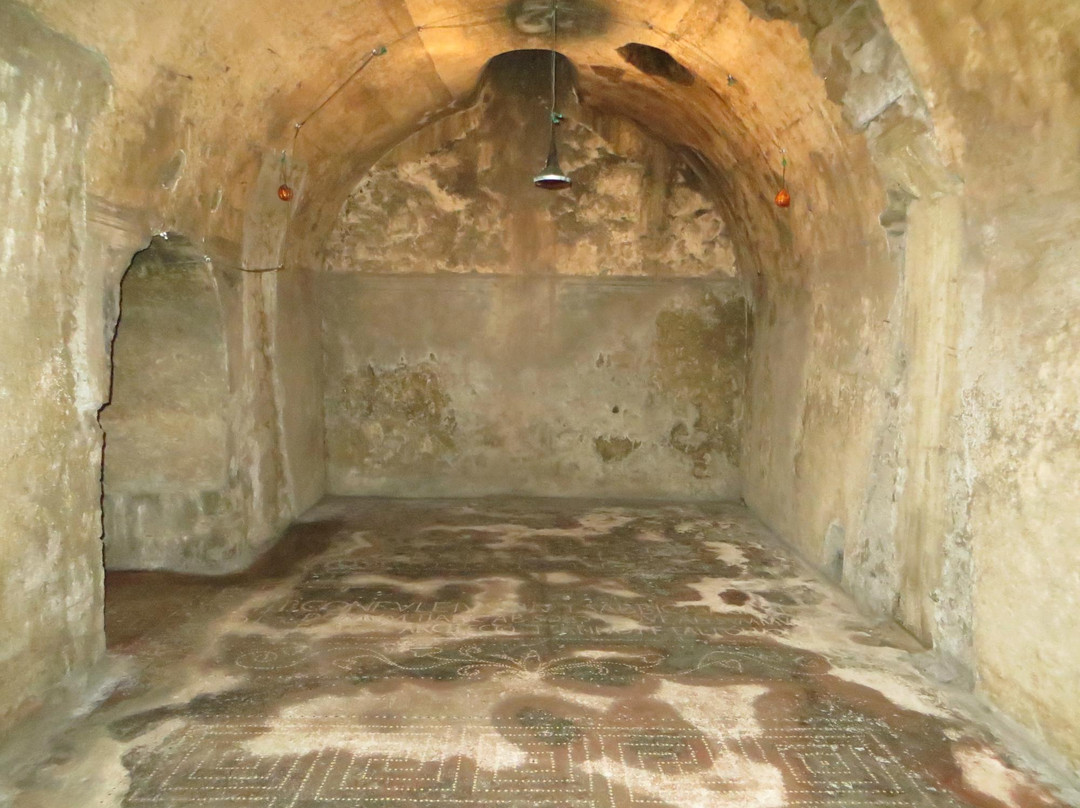 Domus Di Confuleius Detta Bottega Del Tintore景点图片