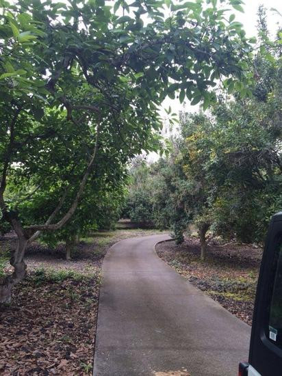 Ohana Farm Orchards-库克船长必去景点