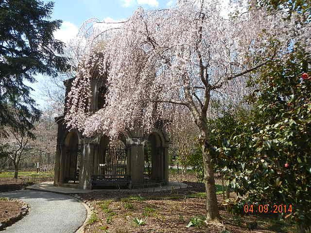 圣方济修道院-华盛顿特区必去景点