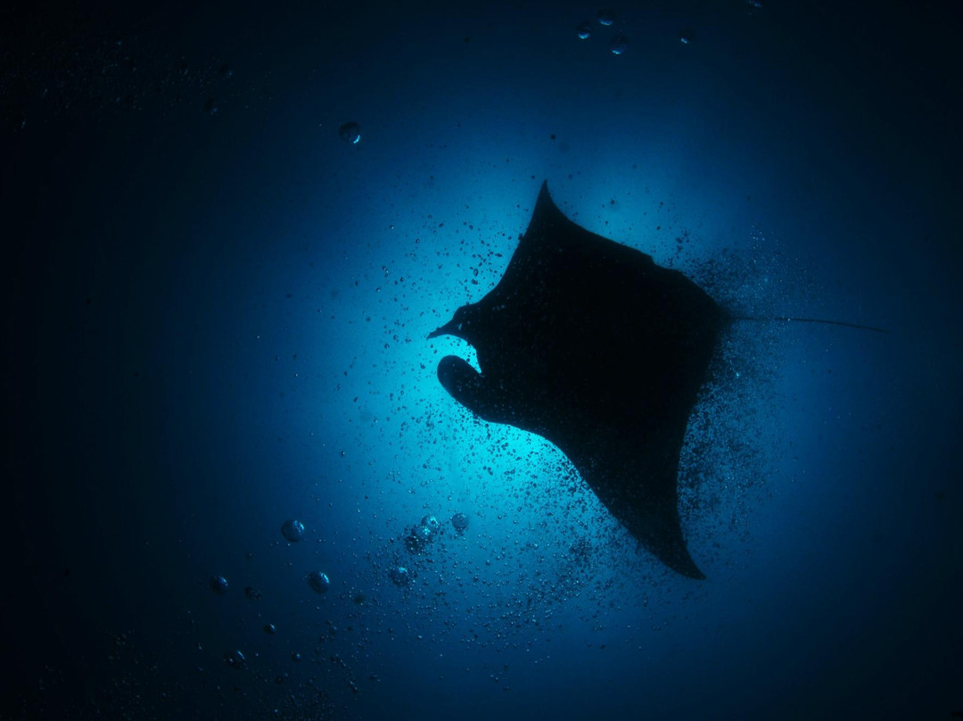 Barra Dive Resort-Inhambane必去景点