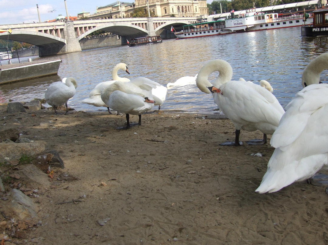 Vltava Beach景点图片
