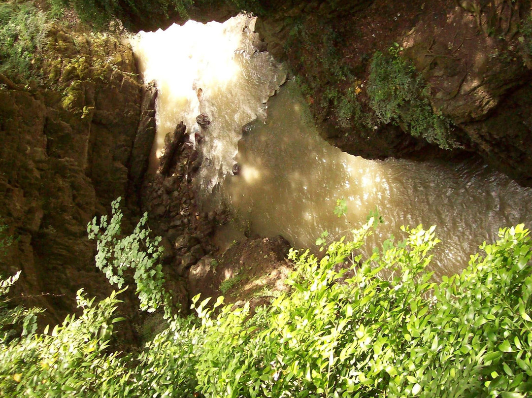 Visadar Waterfall景点图片