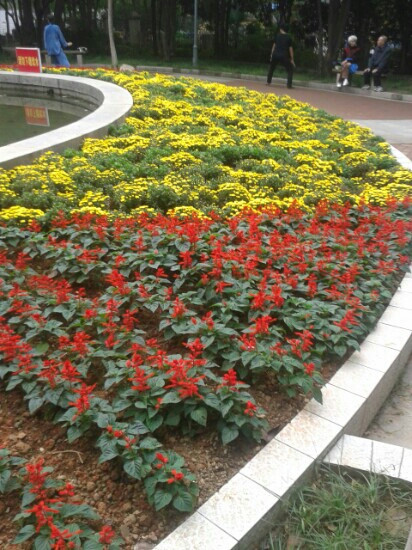 湘潭和平公园-湘潭市必去景点