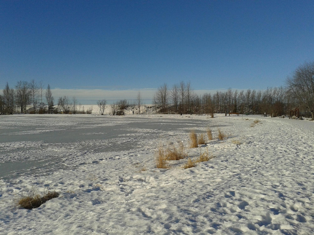 Tony Knowles Coastal Trail-安克雷奇必去景点