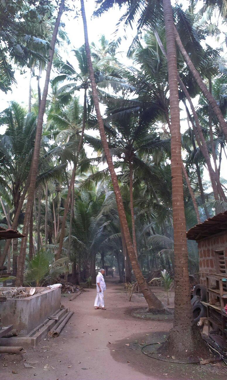 Osari Homestay-客卧