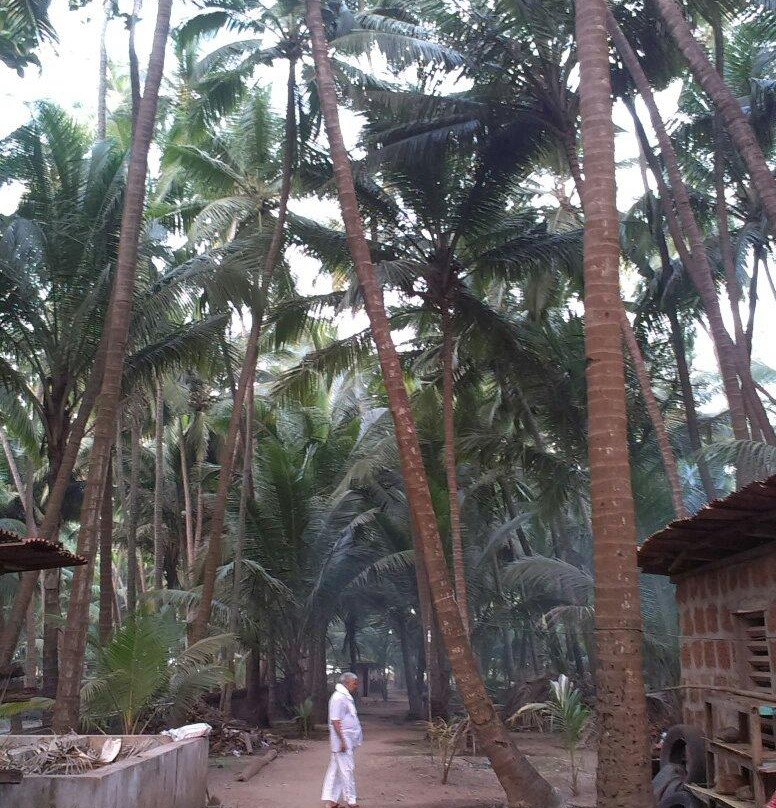 Osari Homestay主图