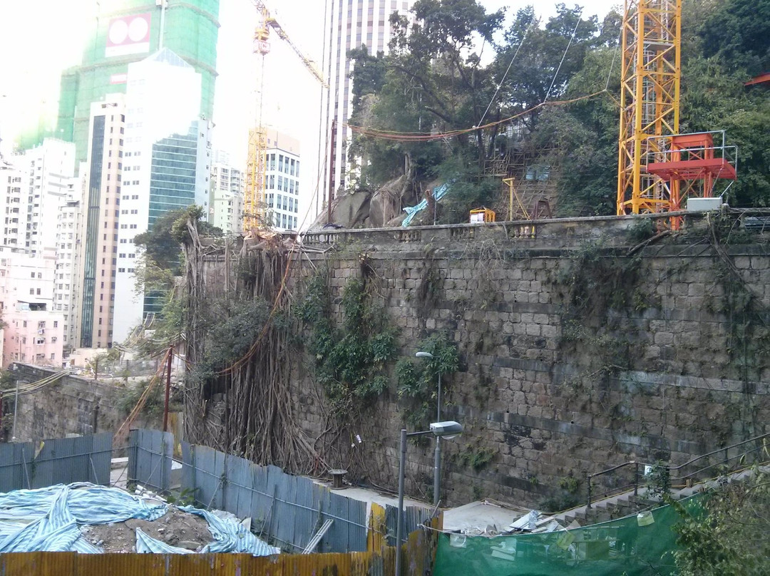 活现香港的香港一日游-香港必去景点