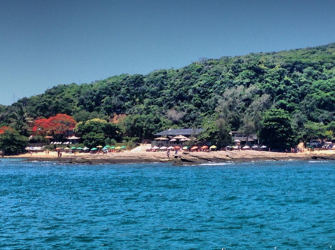 Praia da Tartaruga-布基亚斯必去景点