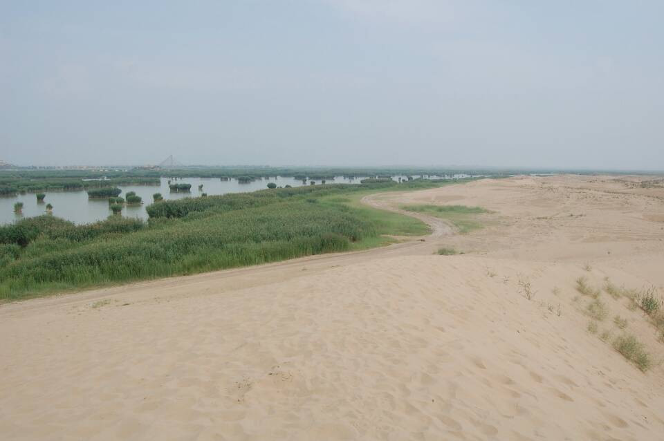 沙湖生态旅游区景点图片
