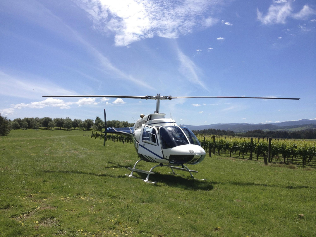 The Helicopter Group Australia-Mentone必去景点